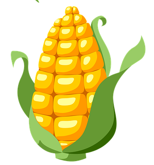 white flower on white background